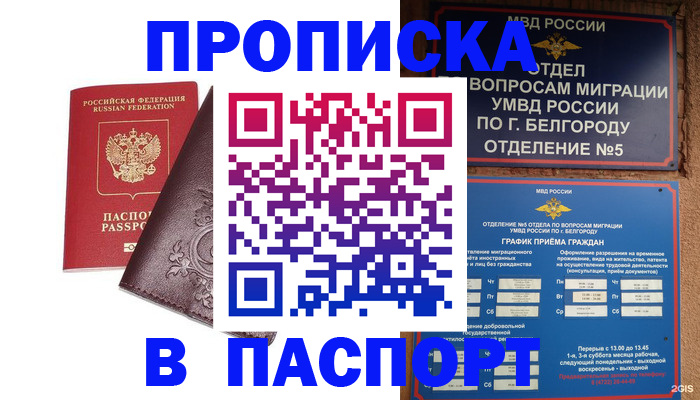 прописка поиск в Новочеркасске